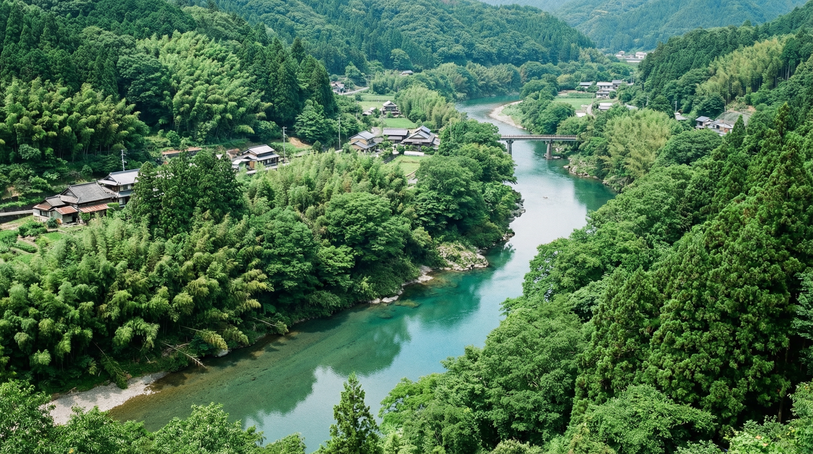 勝浦川の自然風景